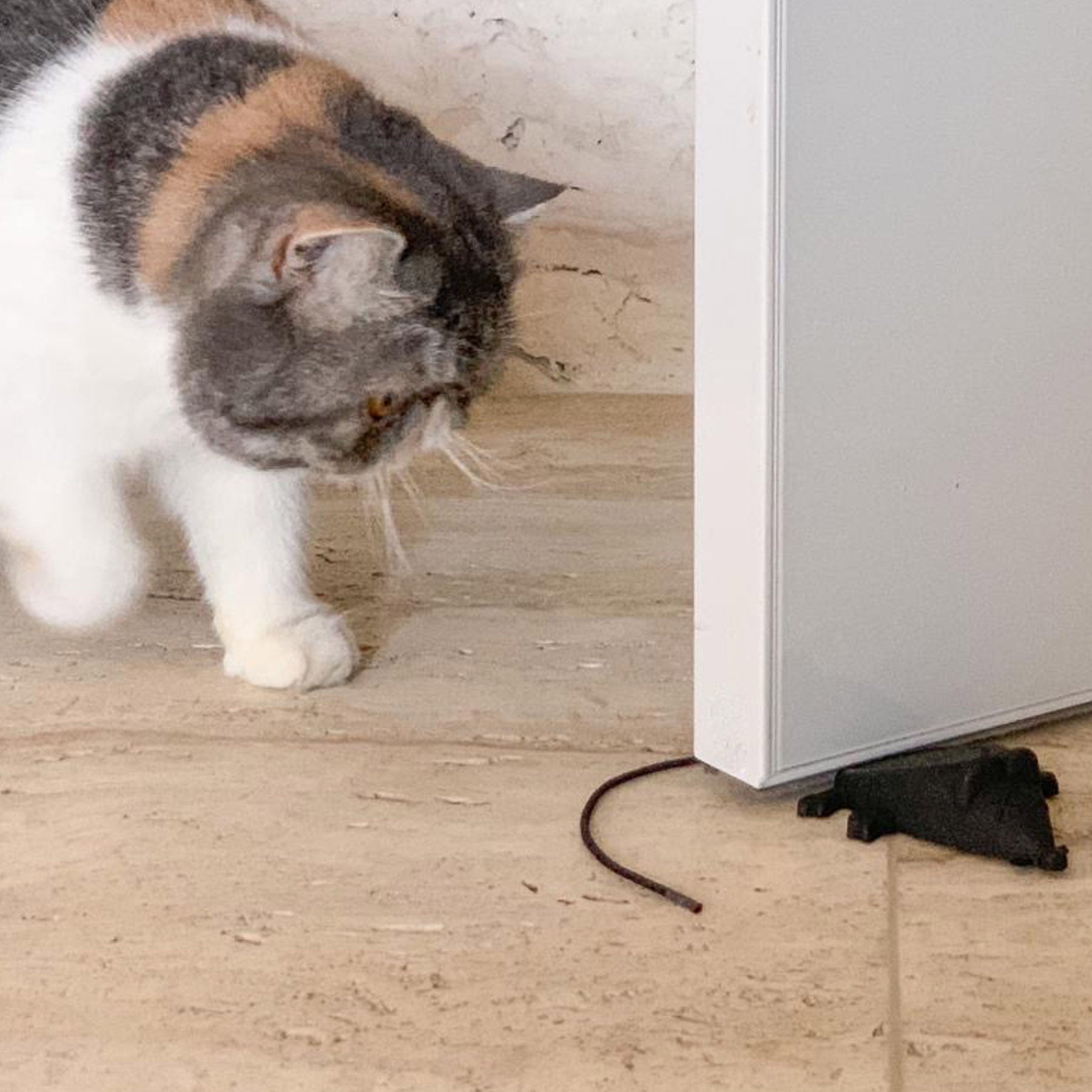 Patricia Maranhão Black Mouse Door Stop