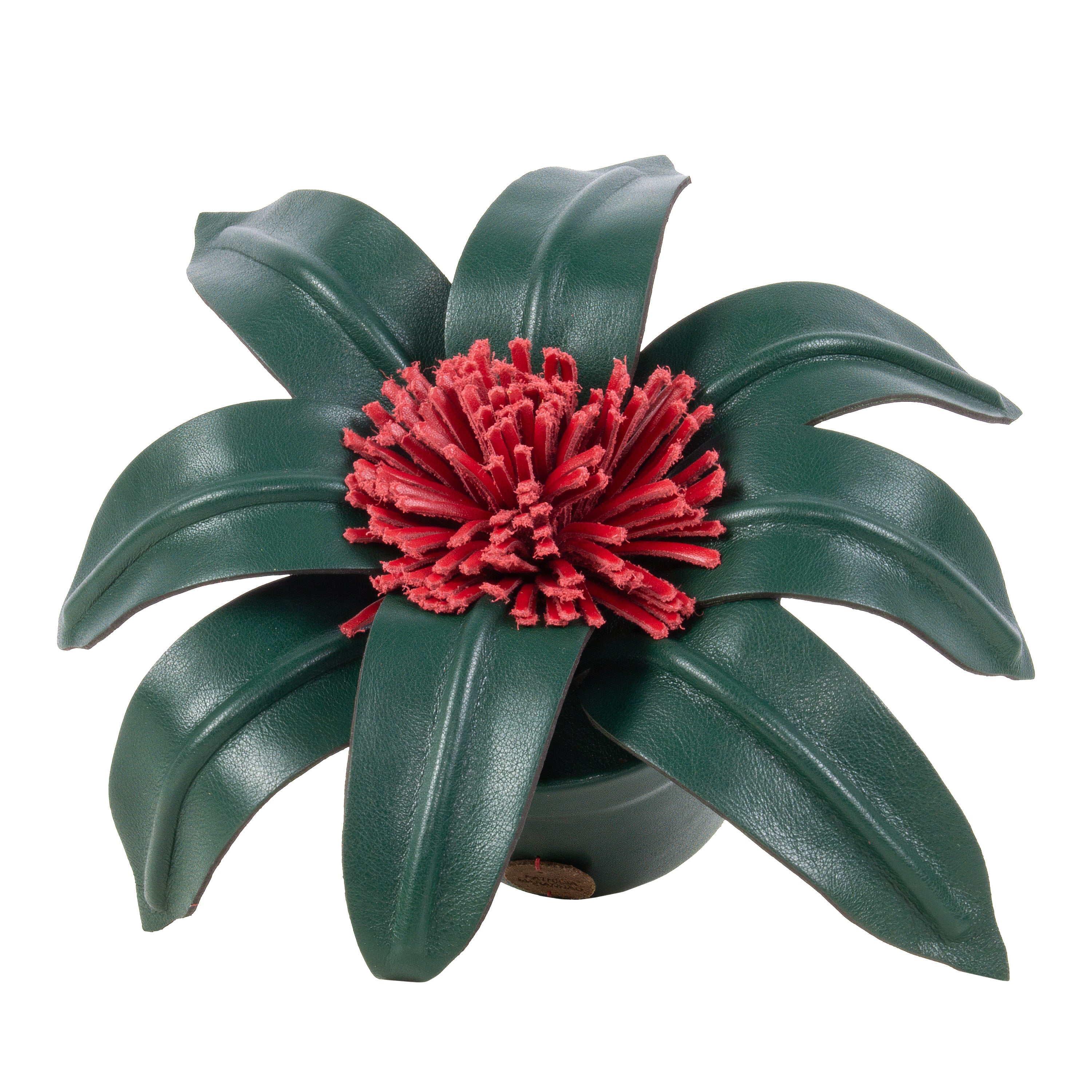 Red Bromeliad Plant Pot in Leather by Patrícia Maranhão