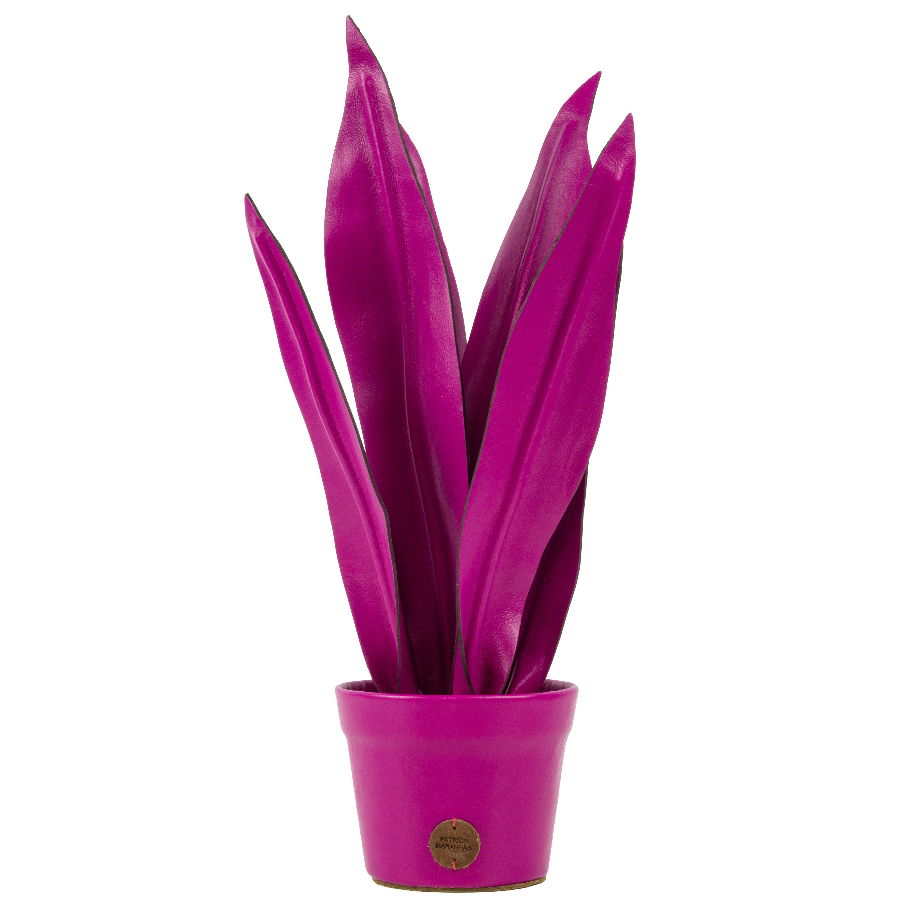 Vaso de Planta Espada de São Jorge Pink em Couro Patrícia Maranhão