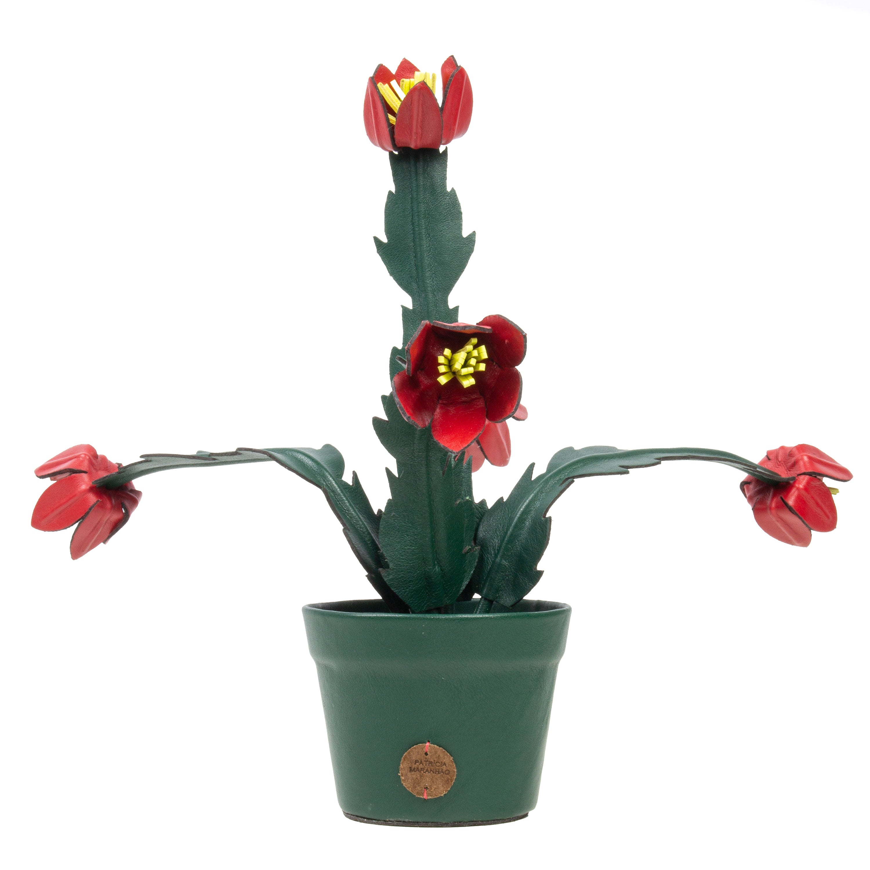Vaso de Planta Flor de Maio em Couro Patrícia Maranhão