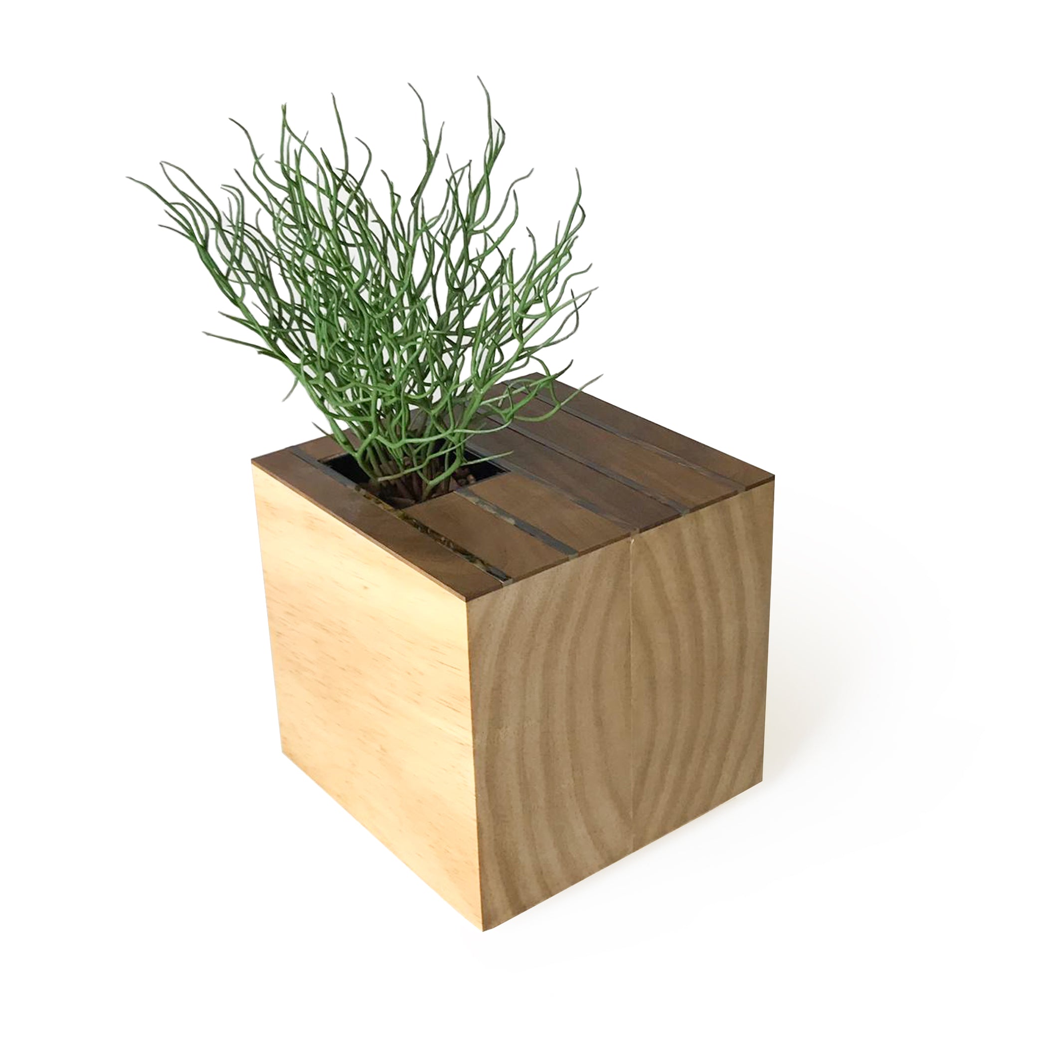 Cachepot de Madeira Cubo Betumê G Patricia Maranhão