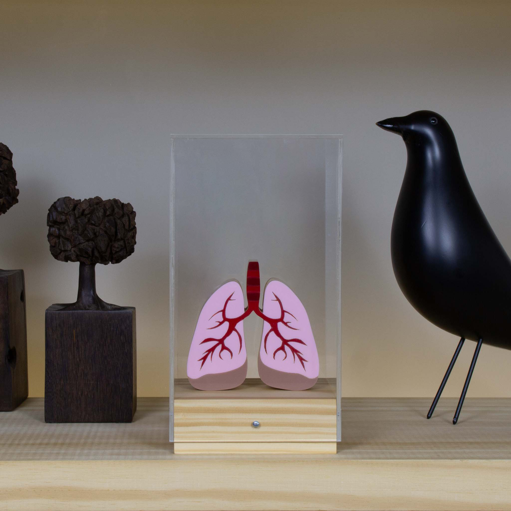 Lung Dome Sculpture + Patricia Maranhão Mug