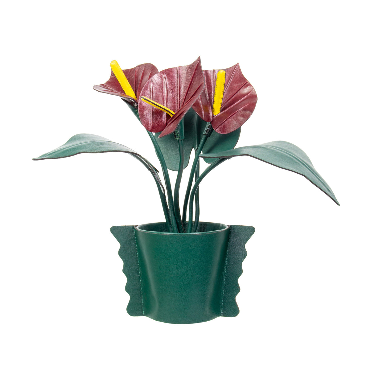 Anthurium Linux Pot in Granada Leather