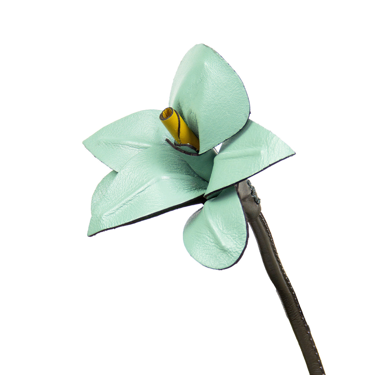 Orquídea Vaso Linux em Couro